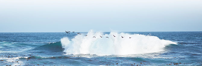 Welle_Header_original